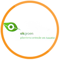 OK groen logo